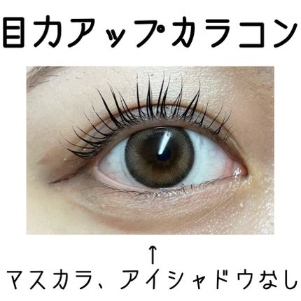 melotte 1day/melotte/ワンデー(1DAY)カラコンを使ったクチコミ(1枚目)