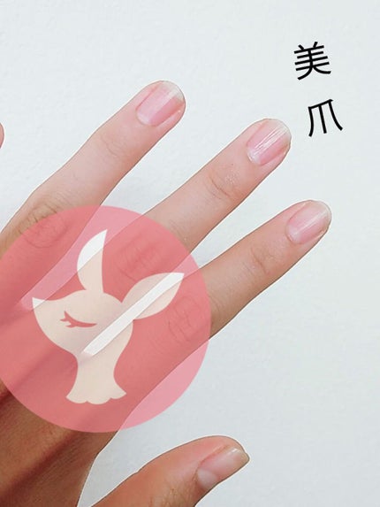 Somptueux(ソンプチュー) ネイルオイル/DAISO/ネイルオイル・トリートメントを使ったクチコミ(2枚目)