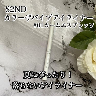 カラーザバイブアイライナー #01 カームエスプレッソ/S2ND/ペンシルアイライナーを使ったクチコミ（1枚目）