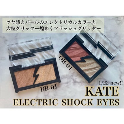エレクトリックショックアイズ /KATE/アイシャドウパレットを使ったクチコミ(1枚目)