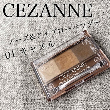 ノーズ＆アイブロウパウダー/CEZANNE/パウダーアイブロウを使ったクチコミ（1枚目）