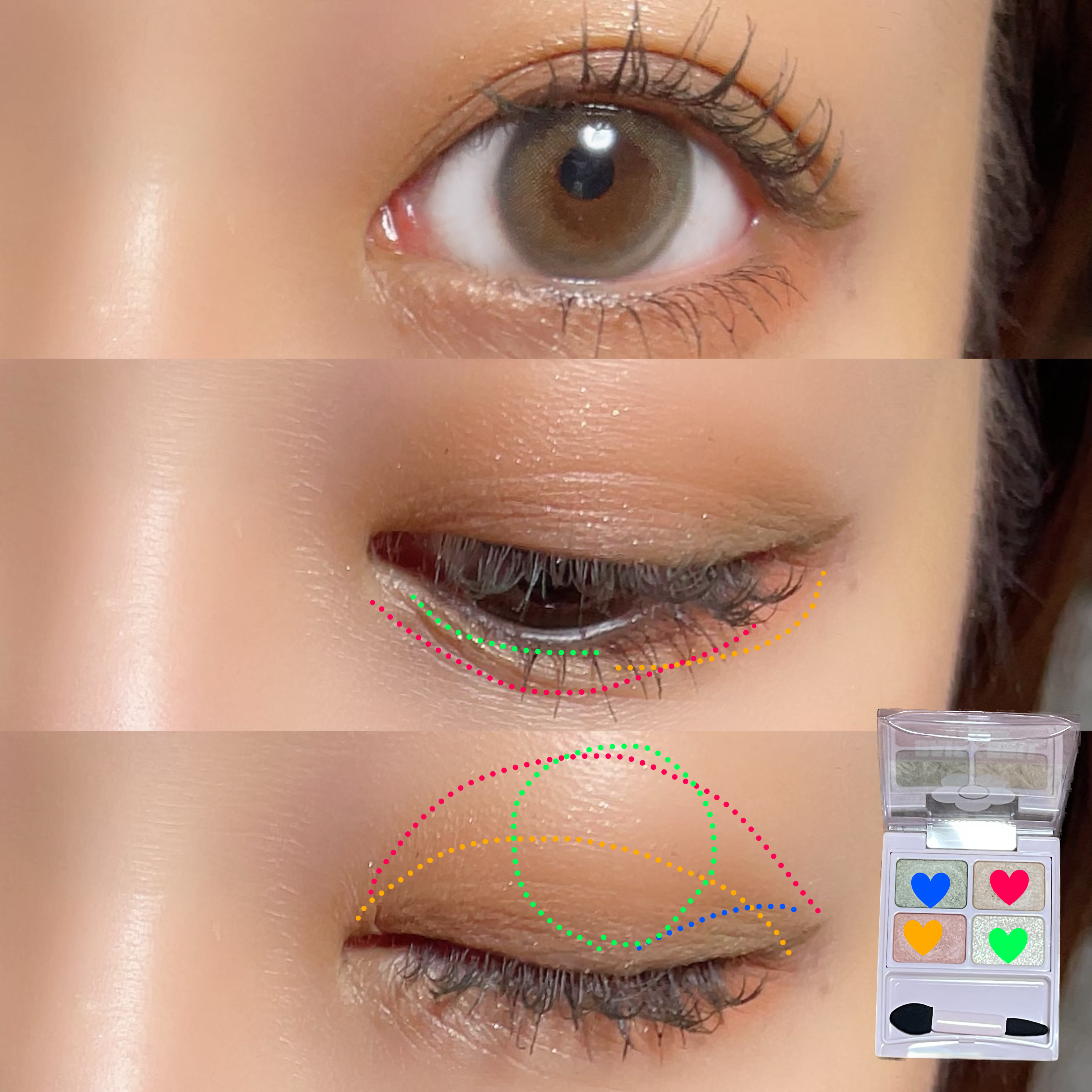 デイジードール アイカラー パレット/DAISY DOLL by MARY QUANT/アイシャドウパレットを使ったクチコミ（2枚目）