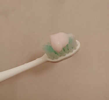 ボタニカルホワイト チェリーブロッサムミント/TeethLab/歯磨き粉を使ったクチコミ（3枚目）