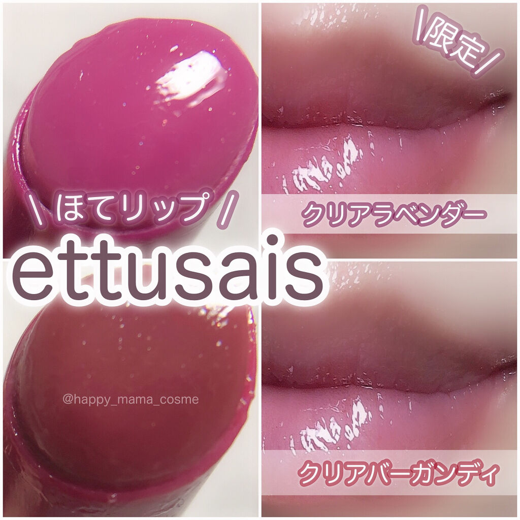 エテュセ リップエディション（プランパー）リッチスタイル/ヘルシースタイル/ettusais/リップケアを使ったクチコミ（1枚目）