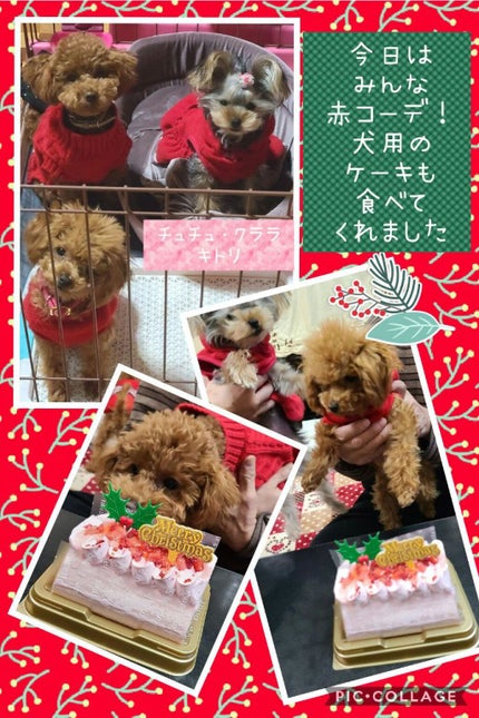 【旧】ディオール アディクト リップ マキシマイザー/Dior/リップグロスを使ったクチコミ(4枚目)