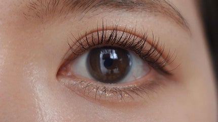 シャドウパレット/dasique/アイシャドウパレットを使ったクチコミ(2枚目)