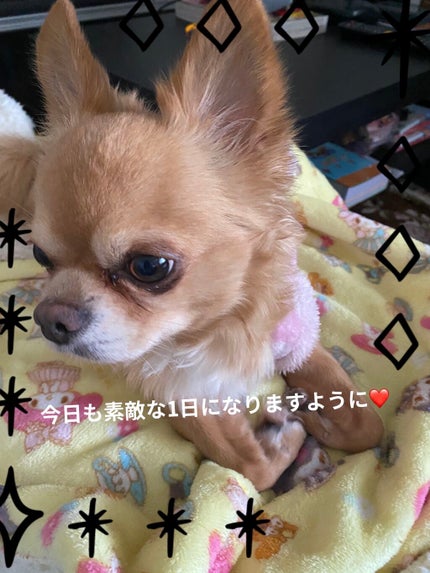 パラドゥ シングルアイシャドウ /パラドゥ/単色アイシャドウを使ったクチコミ(8枚目)