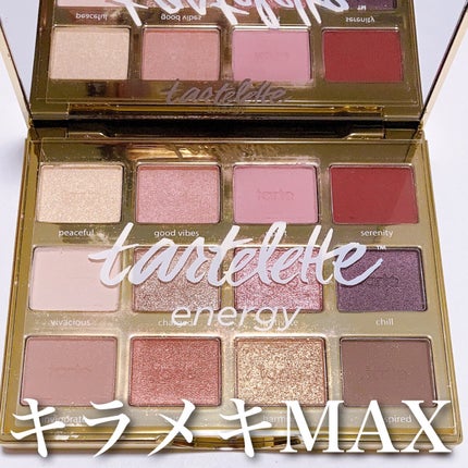 タルトレット E アマゾニアンクレイ パレット/tarte/アイシャドウパレットを使ったクチコミ(1枚目)