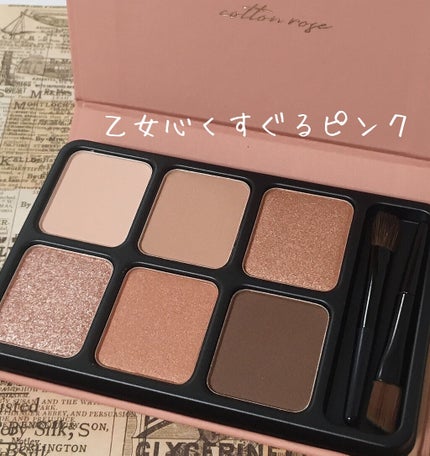 アイカラーパレット/heme/アイシャドウパレットを使ったクチコミ(3枚目)