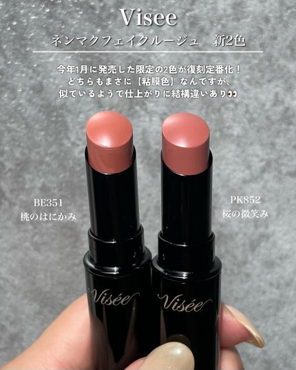 ネンマクフェイク ルージュ/Visée/口紅を使ったクチコミ(2枚目)