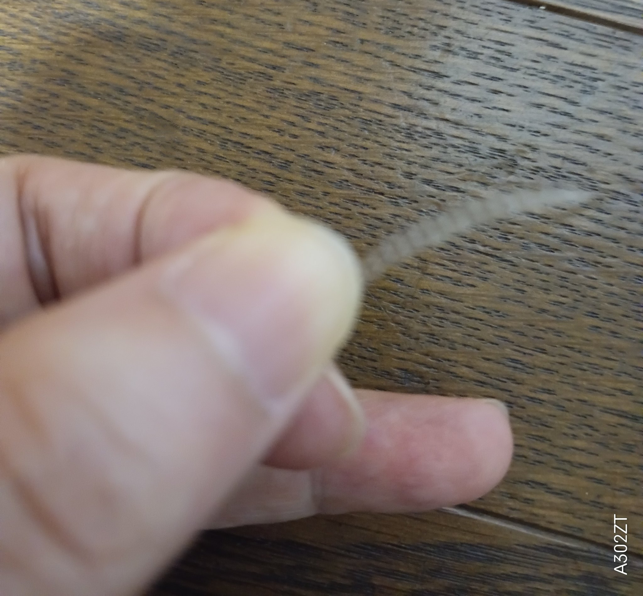 メッシュアイテープ/DAISO/二重まぶた用アイテムを使ったクチコミ（3枚目）