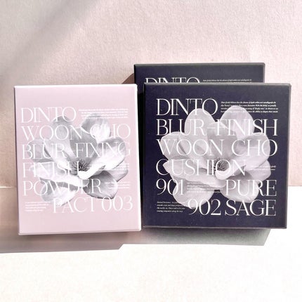 ブラーフィニッシュ雲楚クッション/Dinto/クッションファンデーションを使ったクチコミ(8枚目)