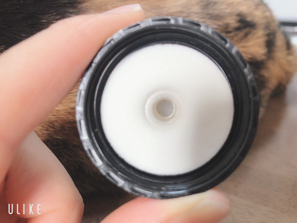 スポンジ付きチーク容器/DAISO/その他化粧小物を使ったクチコミ（3枚目）