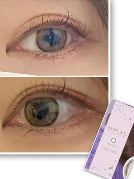MOLAK 1day/MOLAK/ワンデー(1DAY)カラコンを使ったクチコミ(1枚目)