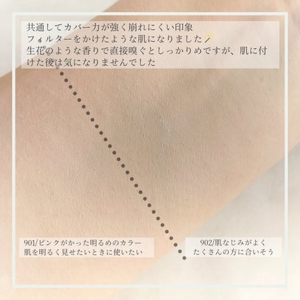 ブラーフィニッシュ雲楚クッション/Dinto/クッションファンデーションを使ったクチコミ(3枚目)