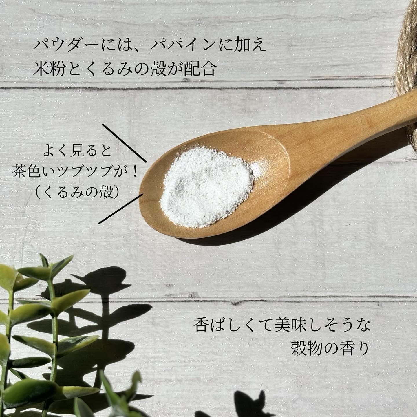 ブレミッシュ 酵素 洗顔パウダー/PAPA RECIPE/洗顔パウダーを使ったクチコミ（2枚目）