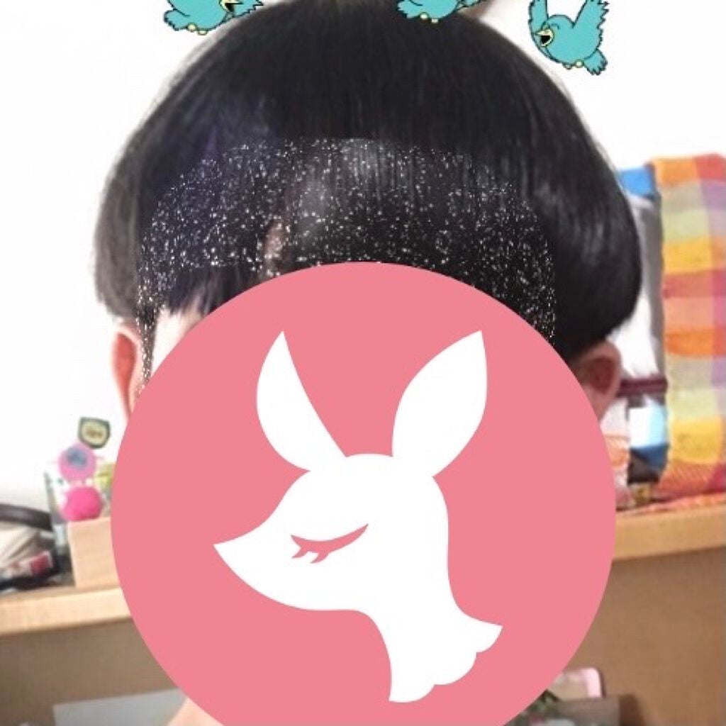 1DAY HAIR MONSTER/リーゼ/ヘアカラーを使ったクチコミ(1枚目)