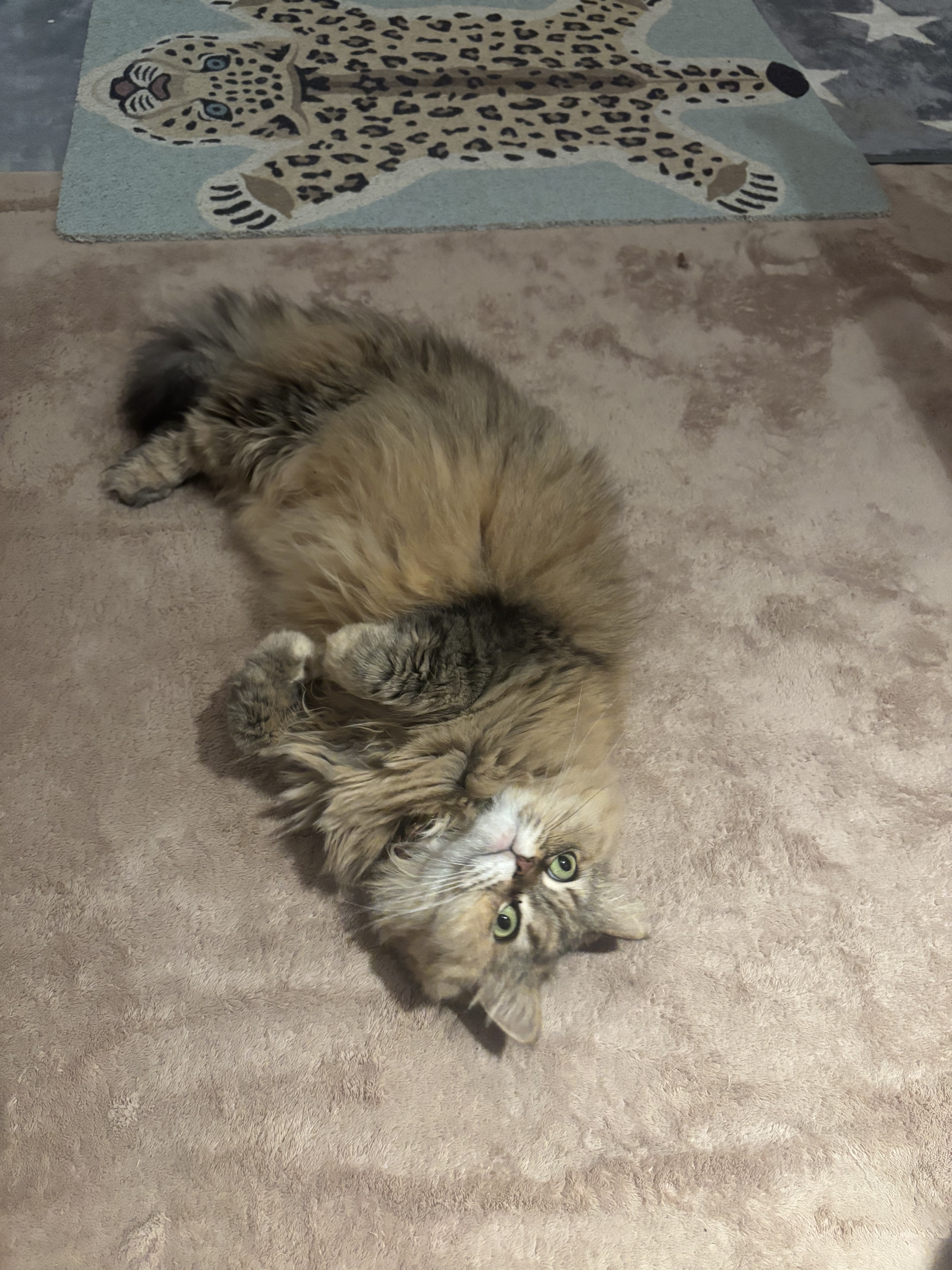 エイジングケア薬用美白乳液/無印良品/乳液を使ったクチコミ（3枚目）