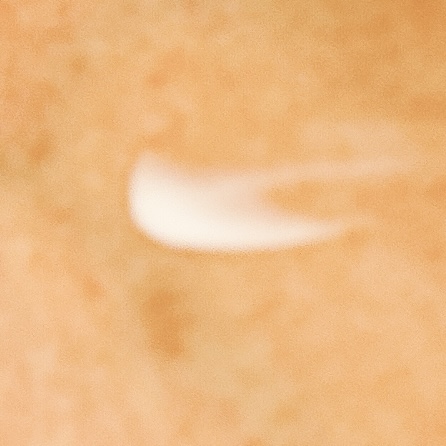 スペシャルジェルクリーム EX （ブライトニング） /アクアレーベル/オールインワン化粧品を使ったクチコミ（2枚目）