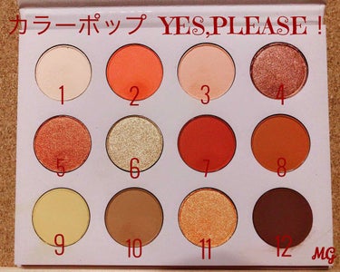 Yes,Please! Shadow Palette/ColourPop/アイシャドウパレットを使ったクチコミ（2枚目）