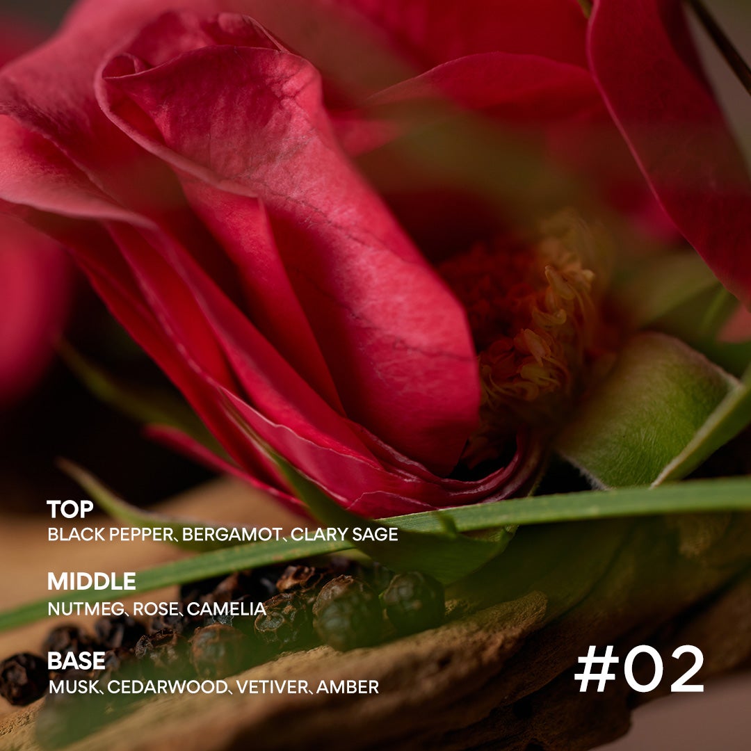 INNISFREE(イニスフリー)公式アカウント on LIPS 「✨新発売✨アイルナンバーライン香りをコンセプトにしたボディケア..」(4枚目)