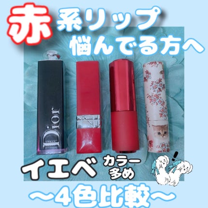 リップスティック N/PAUL & JOE BEAUTE/口紅を使ったクチコミ(1枚目)