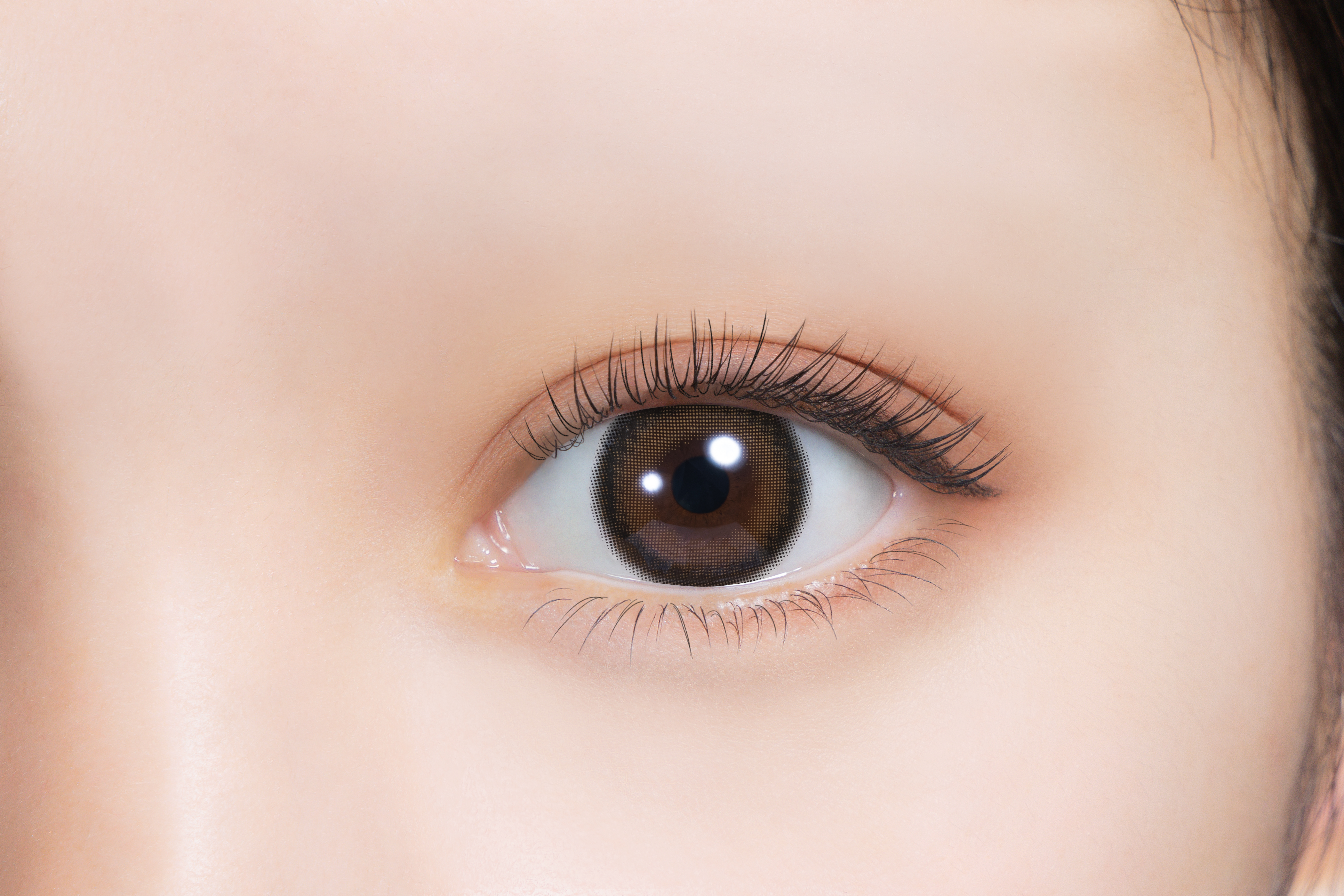 feliamo 1month ティラミスリング