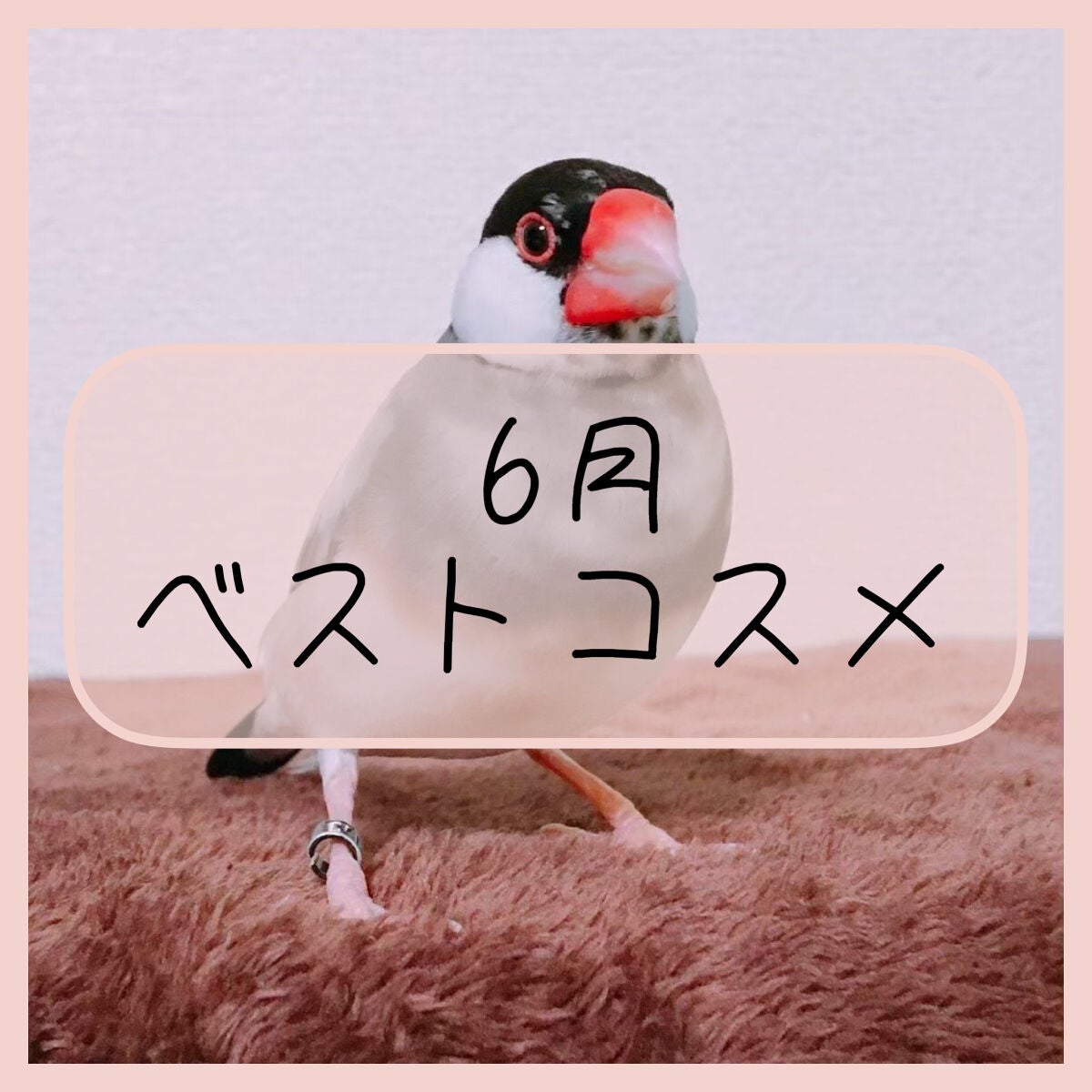 ディオール バックステージ アイ パレット/Dior/アイシャドウパレットを使ったクチコミ(1枚目)