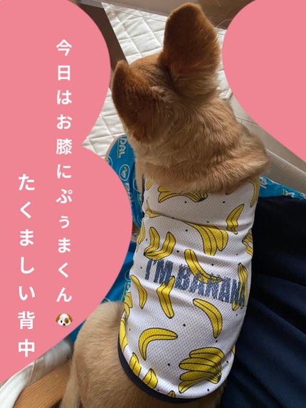 エターナルクチュール アイズ ベルベット/JILL STUART/アイシャドウパレットを使ったクチコミ(10枚目)