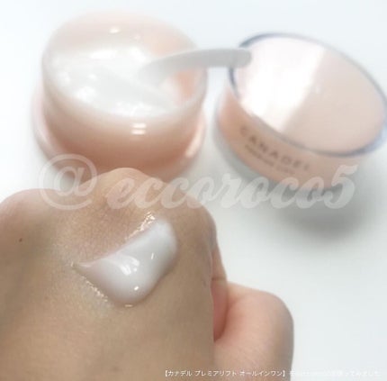 プレミアリフト オールインワン/CANADEL/オールインワン化粧品を使ったクチコミ(1枚目)