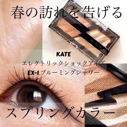 エレクトリックショックアイズ /KATE/アイシャドウパレットを使ったクチコミ(1枚目)