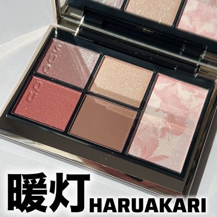 SUQQU アイ&フェイス コンパクト/SUQQU/アイシャドウパレットを使ったクチコミ(1枚目)