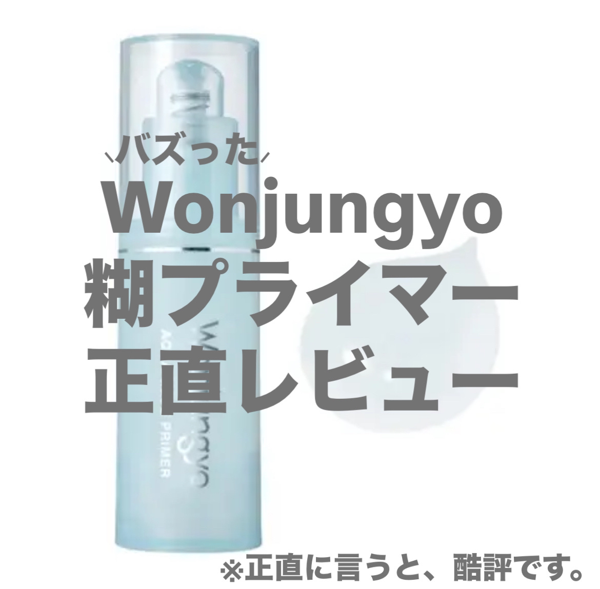 ウォンジョンヨ　アクアグルー　プライマー/Wonjungyo/化粧下地を使ったクチコミ（1枚目）