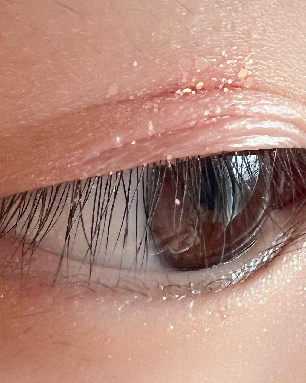 グリッターペディアアイパレット/unleashia/アイシャドウパレットを使ったクチコミ(6枚目)