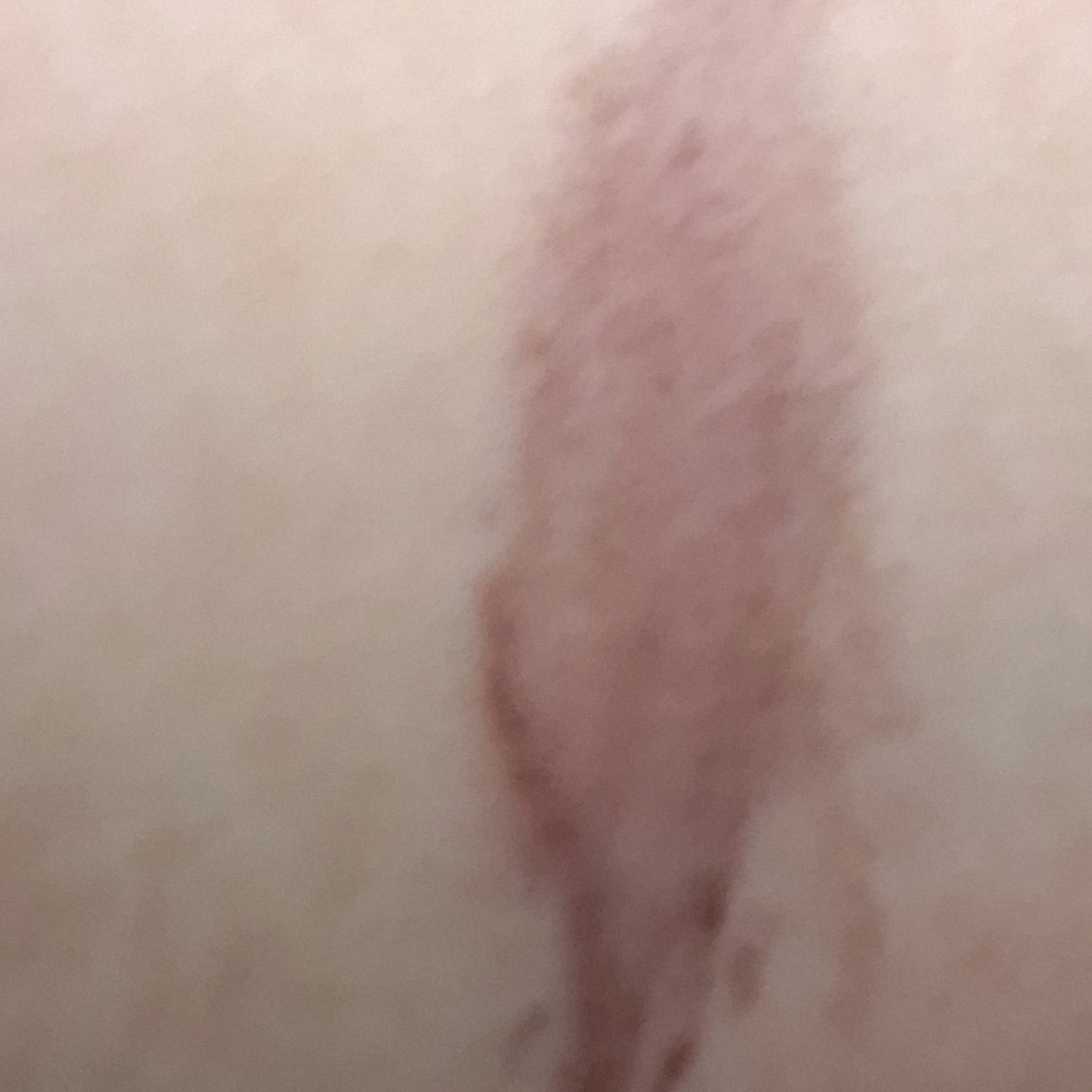 ブロウラッシュEX スタイリングアイブロウマスカラ  ラベンダーブラウン/ブロウラッシュ/眉マスカラを使ったクチコミ（3枚目）