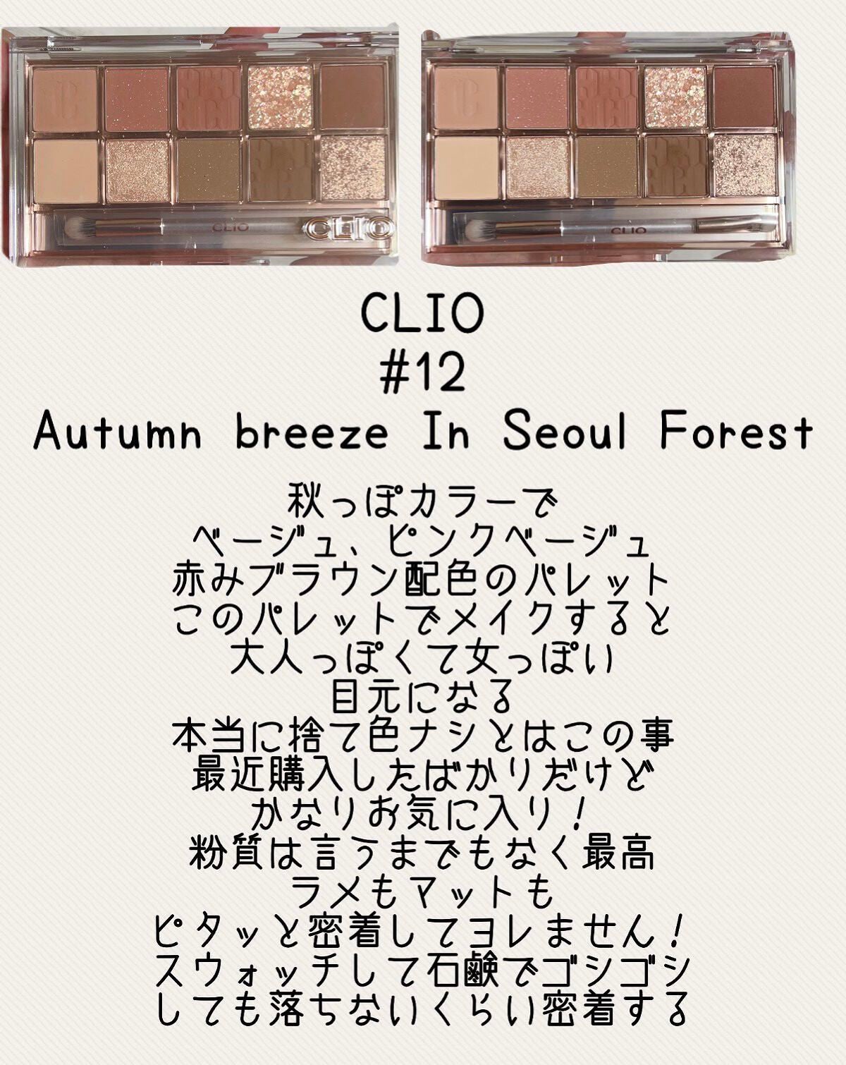プロ アイ パレット/CLIO/アイシャドウパレットを使ったクチコミ(8枚目)