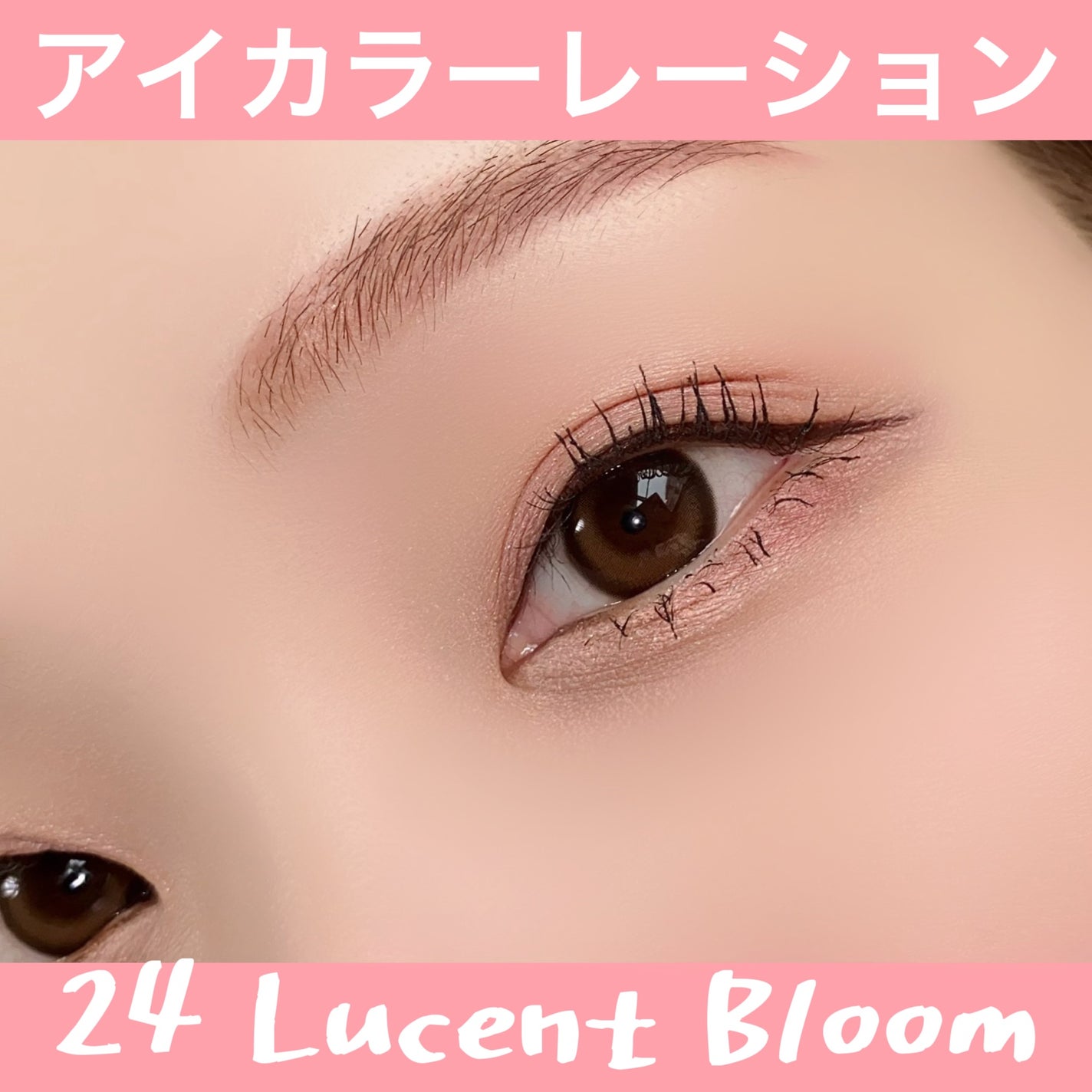 アイカラーレーション/LUNASOL/アイシャドウパレットを使ったクチコミ(6枚目)