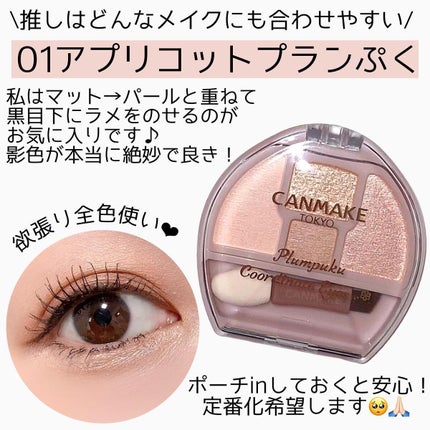 プランぷくコーデアイズ/キャンメイク/パウダーアイシャドウを使ったクチコミ(6枚目)