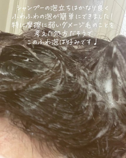 THE PREMIUM ãšã¯ã¹ãã©ãã¡ãŒãžã±ã¢ã·ã£ã³ããŒïŒããªãŒãã¡ã³ãïŒã·ã£ã€ããŒã¢ã€ã¹ãïŒ/ãã¡é«ª/åžè²©ã·ã£ã³ããŒã䜿ã£ãã¯ãã³ãïŒ5æç®ïŒ