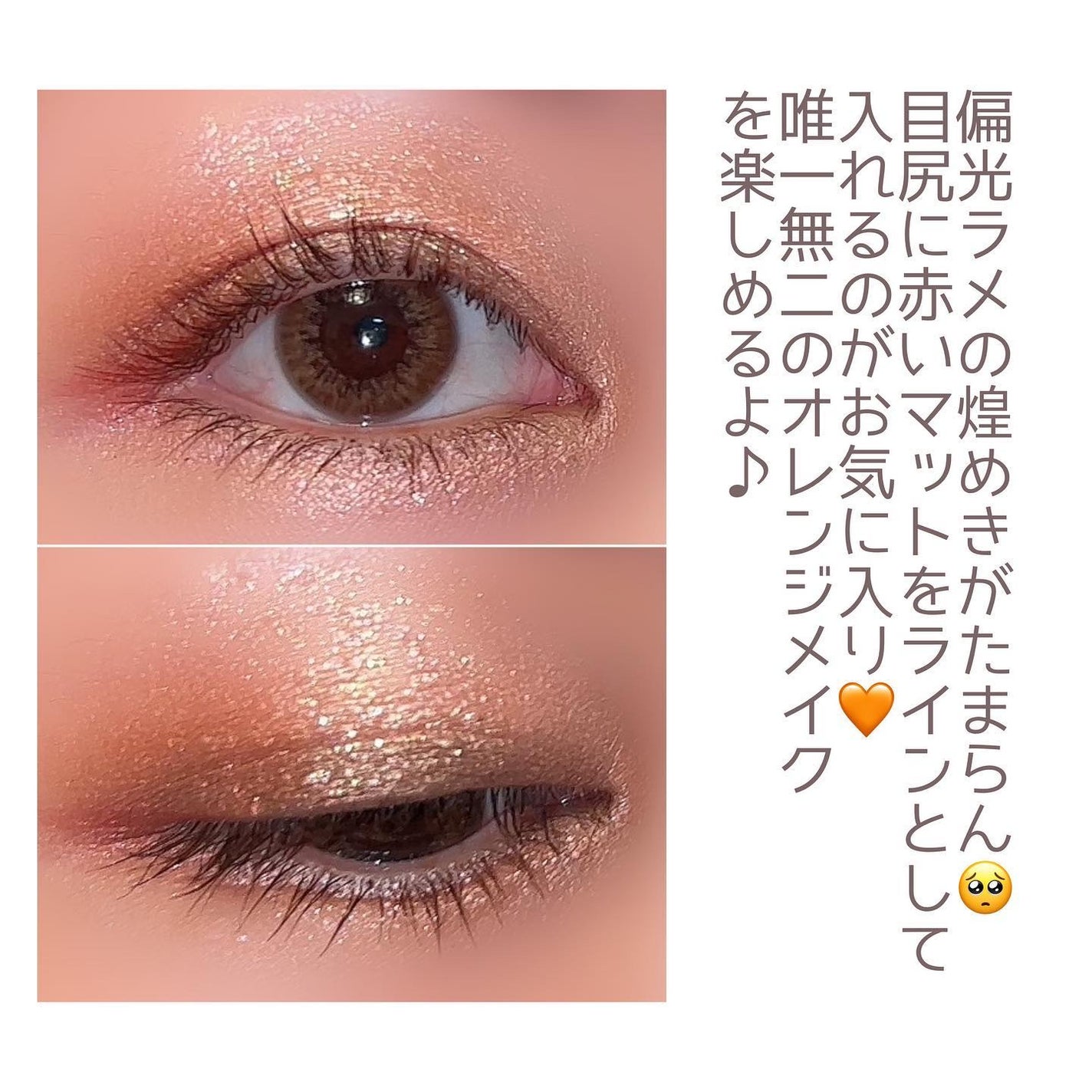 バタフライダガー アイシャドー パレット(限定)/shu uemura/アイシャドウパレットを使ったクチコミ(8枚目)