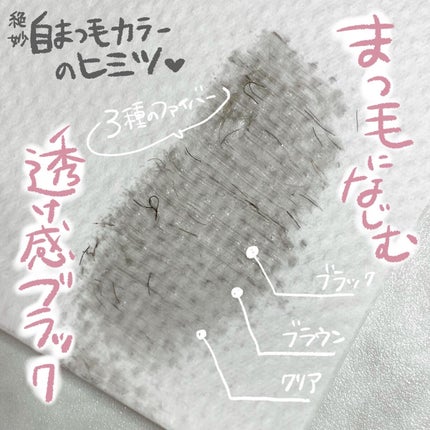 ピメル うそつきマスカラ/pdc/マスカラを使ったクチコミ(3枚目)