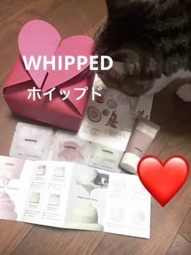 WHIPPED ヴィーガンパッククレンザーディスカバリーキットのクチコミ「メガ割にて購入した
WHIPPEDの
ヴィーガンパッククレンザーディスカバリーキット
です😍🫶.....」（1枚目）