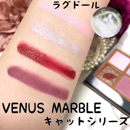 Venus Marble アイシャドウキャットシリーズ/Venus Marble/アイシャドウパレットを使ったクチコミ(3枚目)
