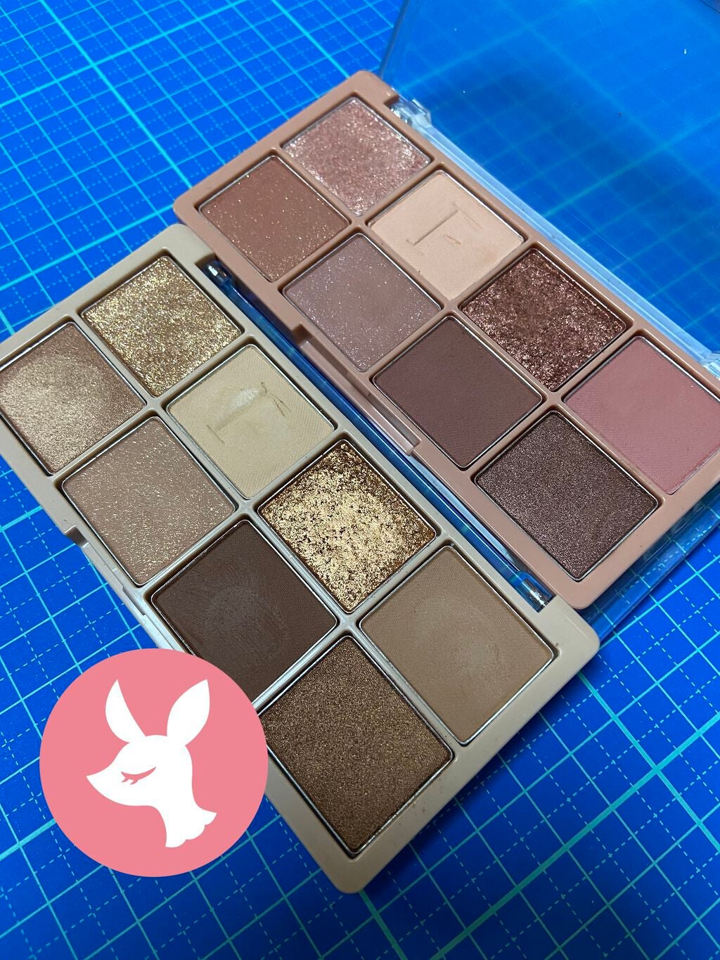 アイシャドウベース/キャンメイク/アイシャドウベースを使ったクチコミ(1枚目)