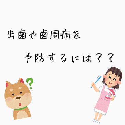 コンクールF/ウエルテック/マウスウォッシュ・スプレーを使ったクチコミ(5枚目)