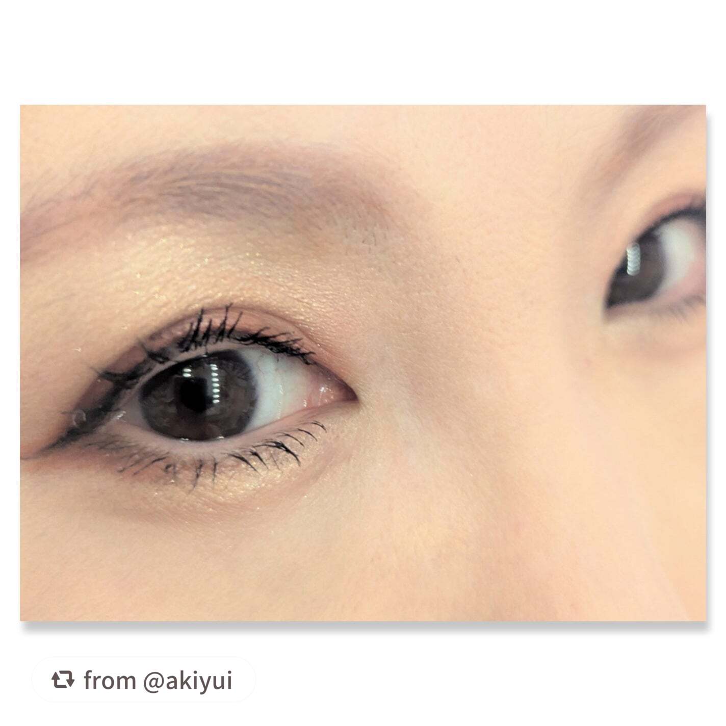 グラデーション アイシャドウ/ちふれ/アイシャドウパレットを使ったクチコミ(2枚目)