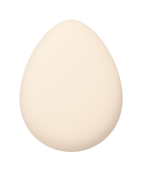 グロウ メイクアップ スポンジ DECORTÉ