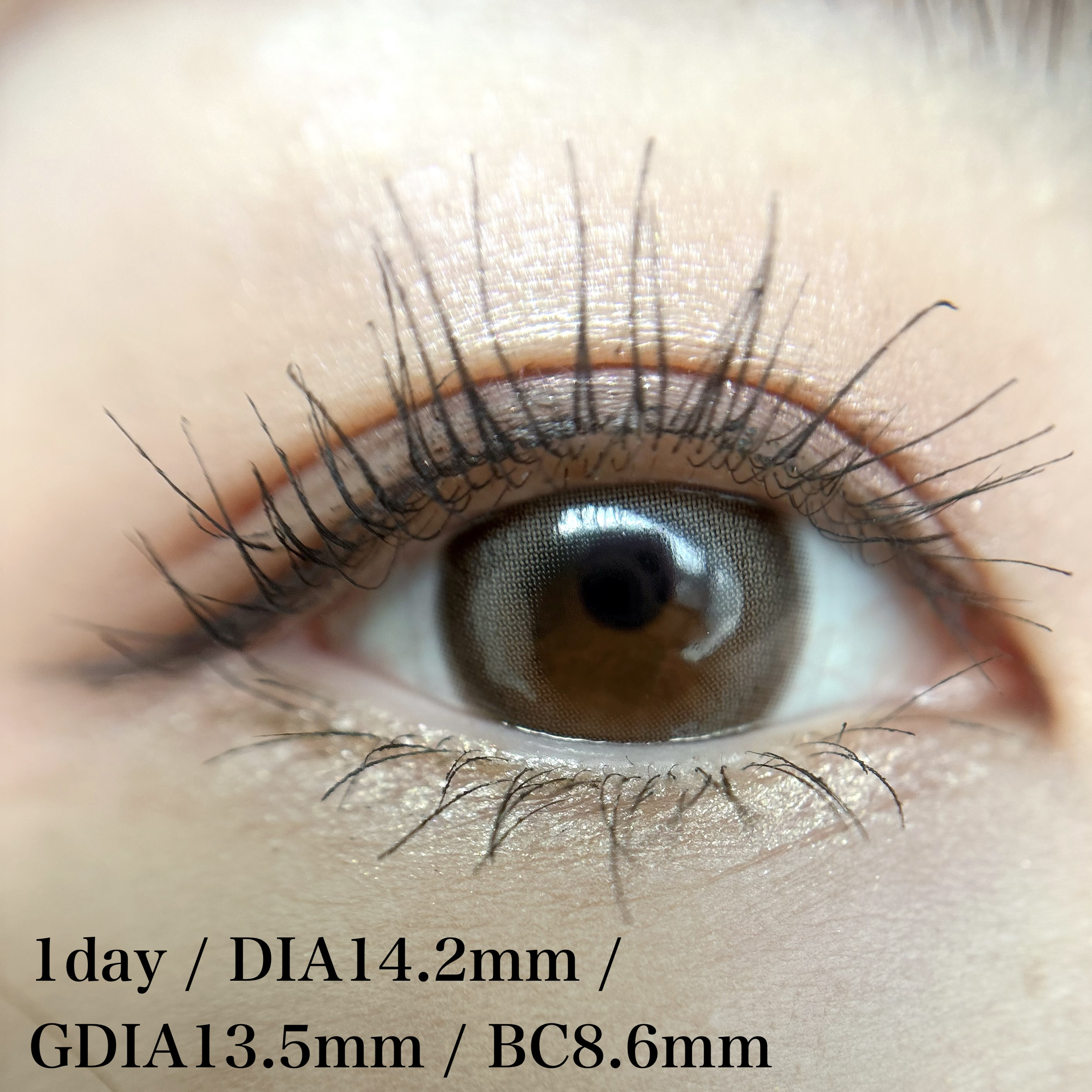 OOHA Dew e Dew 1day/OOHA/ワンデー（１DAY）カラコンを使ったクチコミ（2枚目）