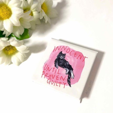 パウダー ブラッシュ/PAUL & JOE BEAUTE/パウダーチークを使ったクチコミ(4枚目)