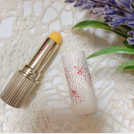 ティント リップスティック/PAUL & JOE BEAUTE/口紅を使ったクチコミ(1枚目)